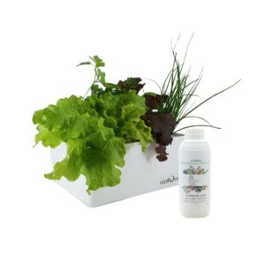 GreenBox G8 מושלמת - ערכת אדנית הידרופונית לגידול ירקות בבית